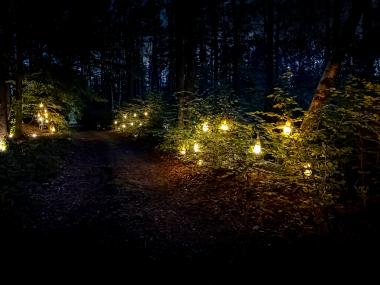Běhej lesy_eventdeco_světelné dekorace