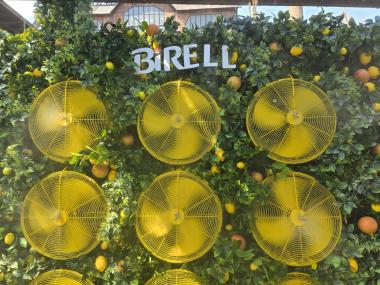 Eventdeco-BIRELL ZÓNY- DEKORACE-LETNÍ FESTIVALY